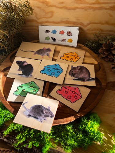 IMG_9454.JPG