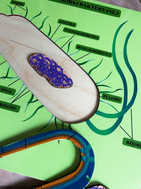 IMG_3001.JPG