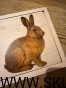 IMG_5827.jpeg