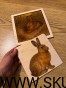 IMG_5828.jpeg