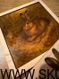 IMG_5829.jpeg
