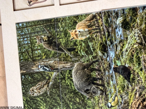 IMG_0788.JPG
