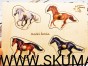 IMG_20201230_165747