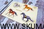 IMG_20201230_165509