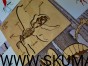 IMG_20201230_200517