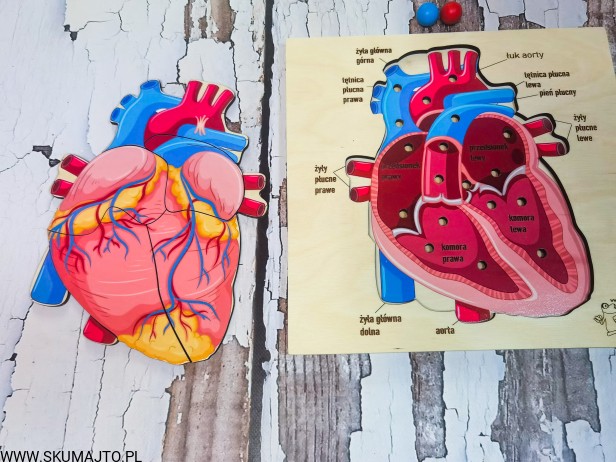 IMG_20210216_170257
