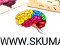 211690440_352314043085055_1746577013295269743_n