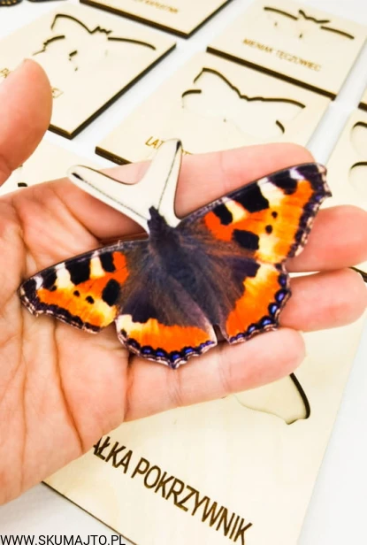 IMG_20220403_122040.jpg