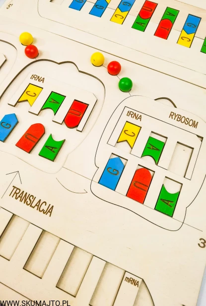 292129397_3276760305976852_7054473056257781687_n.jpg