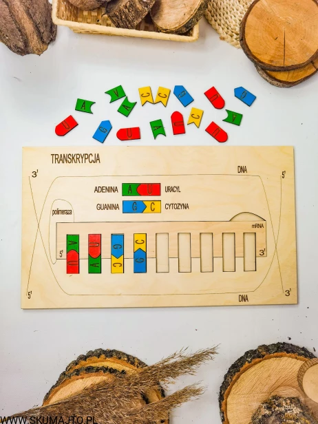 292027920_803476527487123_6446587436331334459_n.jpg