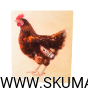 Projekt bez tytułu (90).png