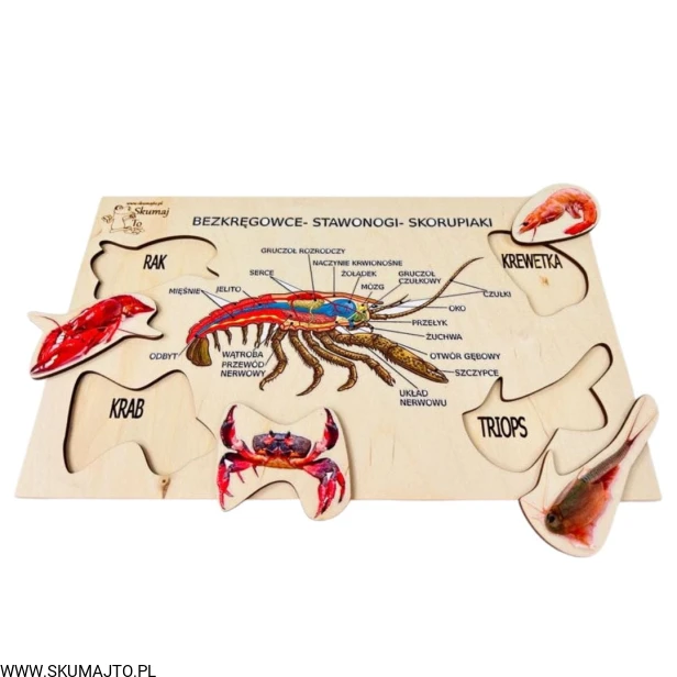 30(1).jpg