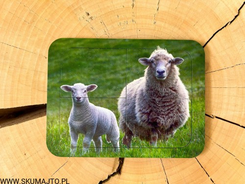 IMG_2467.jpg