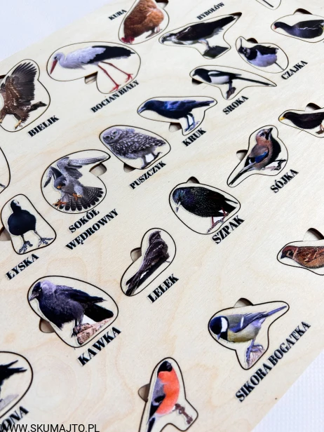 IMG_5293.jpg