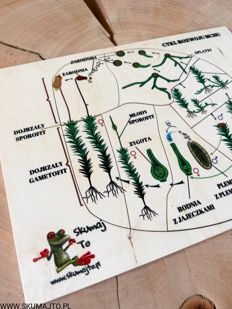 IMG_0236.JPG