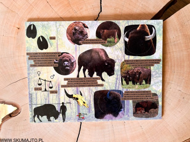 IMG_1786.jpg