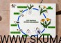 291d9ce3-1971-46fb-b76d-c4ab6234bd04.jpg