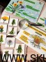 IMG_0849.jpg