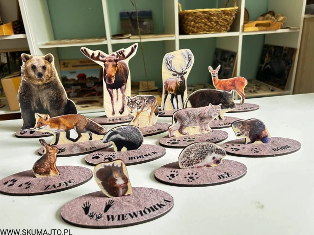 IMG_1024.jpg