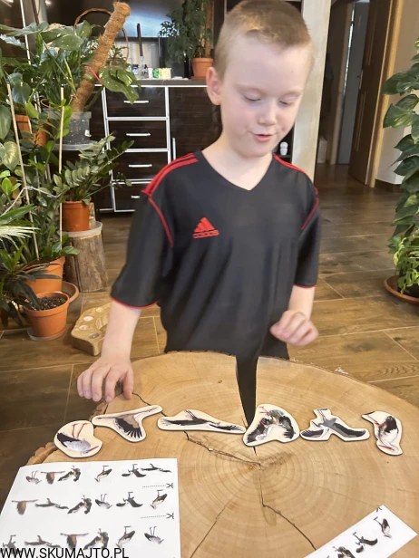IMG_8526.jpg