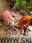 IMG_8287.jpeg