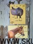 IMG_20201230_170044