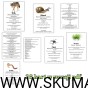 38 kart w wersji pdf.jpg