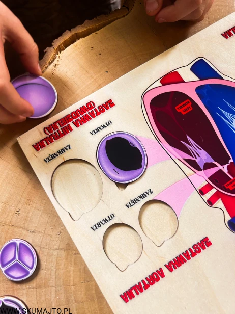 IMG_6322.jpg